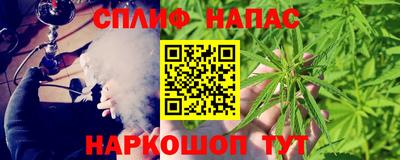 сатива Усть-Джегута