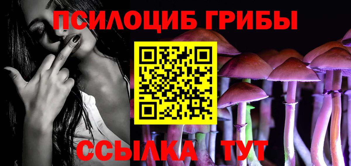 Галлюциногенные грибы GOLDEN TEACHER Бийск
